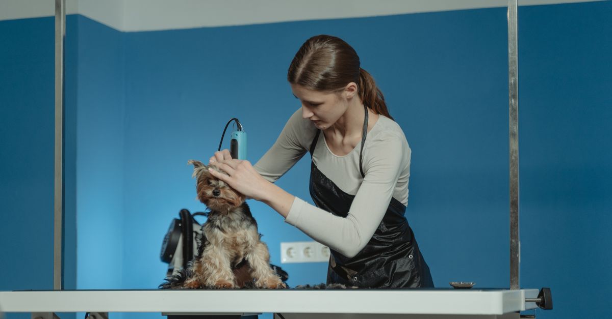 A groomer with a happy dog, ready to rebook