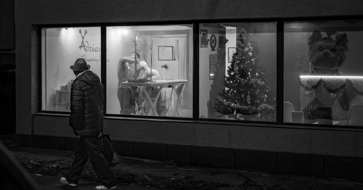 A black and white street scene of a man in a hat walking past a lit grooming salon window, where a groomer works on a small white dog under the salon's name painted on the glass